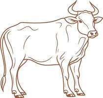 A cow is standing in the middle of a white background vector