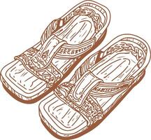 A pair of flip flops vector