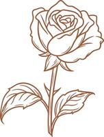 Vintage outline Ramadan Rose flower vector