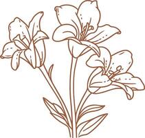 Vintage outline Ramadan Lily flower vector