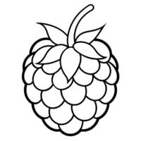 Raspberry coloring pages for kids vector
