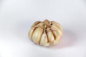 garlic close up isolated on white photo