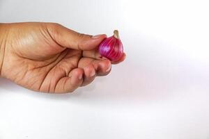 hand holding shallot isolated on white background photo