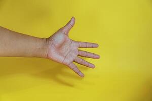 Open palm Count five with finger photo