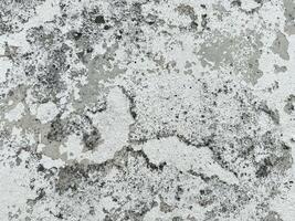 Close-up of weathered concrete texture with natural patterns and subtle color variations photo