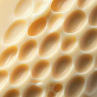 Smooth texture that defines cheese photo