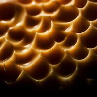 Smoothness embedded in the texture of cheese photo