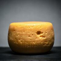 A cheese renowned for its smooth texture photo