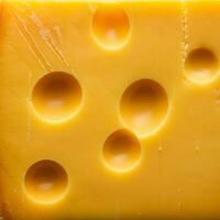 Cheese crafted with smooth texture photo