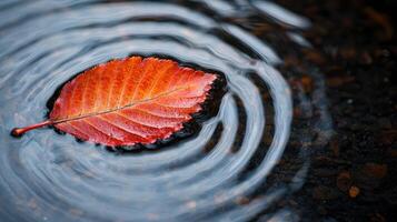 Vibrant autumn leaf floating on swirling water. . photo