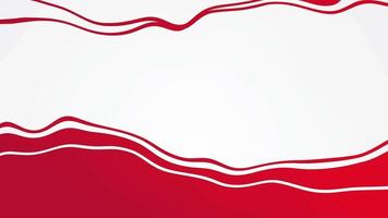 Animated wave red white modern abstract background video