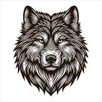 The head of a wolf is shown in a black and white drawing vector