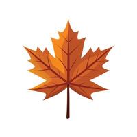 In the fall brown color maple leaf illustration on white background. vector