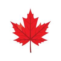 Red color maple leaf a signature autumn. Illustration design on white background. vector