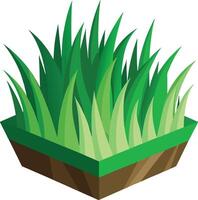 Green grass in a square pot vector