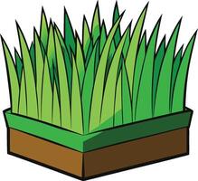 A cartoon grass in a box on a white background vector
