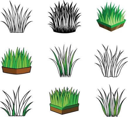 A set of different types of grasses