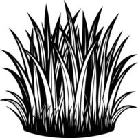 A black and white drawing of grass vector