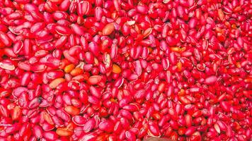 The pile of melinjos in the photo is close up. Melinjo is usually called gnetum gnemon.