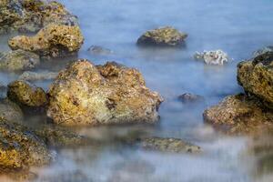 A Close-Up View Shrouded in Fog. Captivating Long Exposure of Coral Reefs. photo