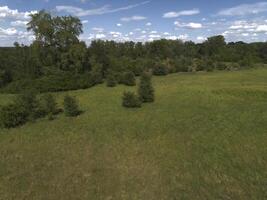 View of a meadow with green grass and trees. View from above. Poland photo