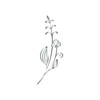 blossom flower and leaves vect design free download vector