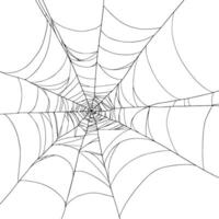 Halloween decor, round Spiderweb hand drawn illustration on white background with Realistic details for horror Autumn event and decorative use vector