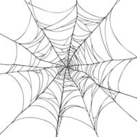 Beautiful Minimalistic Spiderweb hand drawn illustration for Halloween Design element, Horror projects, or Autumn Decoration vector
