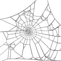 Beautiful Black Spiderweb illustration on white Background, hand drawn Minimalism for Halloween Design element, Horror projects, or Autumn Decoration vector