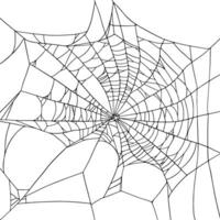 Large hand-drawn Spiderweb on realistic style presented as illustration on a white background. Its versatile design makes it perfect for Halloween holidays, decor, or themed projects vector