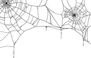 Round Spiderweb Decorative design with copy space for Corner placement, banner and Halloween Frame, Autumn hand drawn illustration on white Background vector