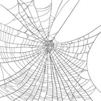 Realistic Black large Spiderweb on White Background for Halloween, Horror projects, or Decorative purposes with Skull vector