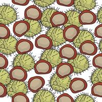Seamless pattern of chestnuts in shell and without, prickly fruits and nuts on a white background vector