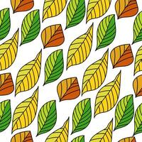 Seamless pattern of bright autumn leaves with asymmetrical veins, yellow orange and green parts of the tree on a white background vector