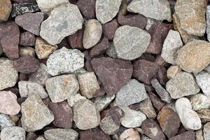A. The image showcases a collection of variously colored and textured rocks. photo