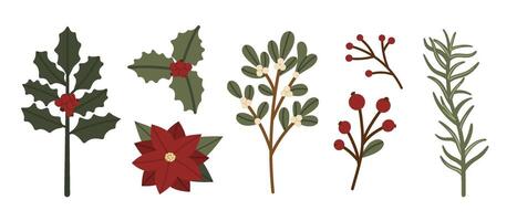 Christmas Botanical Elements Set vector
