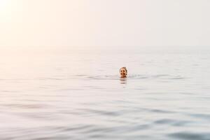 Man Water Ocean Drowning - A single man is in the water, with only his head and one arm visible. He is struggling to stay afloat and appears to be drowning. The ocean is choppy and the sky is overcast photo