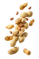 Fresh peanuts flying on a white backdrop png