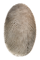 Distinct fingerprint with unique patterns png