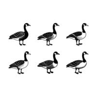 Canada Goose and Line Art Design - Graphics vector