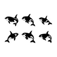 Stylish orca art created with , perfect for graphic design projects. vector