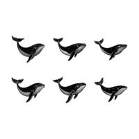 Unique design featuring a humpback whale in and line art style vector