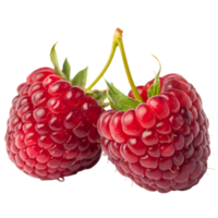 Two ripe raspberries with green stems attached, positioned side by sid png