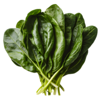 Fresh green spinach leaves, overlapping with veiny texture png