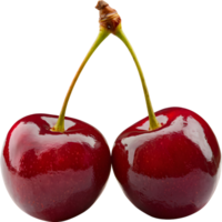 Two ripe cherries attached by stems, reflecting a glossy, deep red sheen png