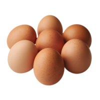 Six brown eggs arranged in a semi circle png
