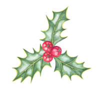 A cluster of holly leaves and red berries in watercolor. This ilex hand drawn clipart is perfect for adding a festive touch to product labels, party invitations, Christmas scrapbooking, or web design png