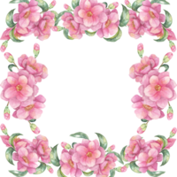 Pink camellia watercolor clipart displaying individual blooms and leaves in a square frame. This versatile design can be used for DIY crafts, print-on-demand products, and custom stationery png