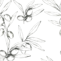 Hand-drawn olives and branches in pencil form a seamless pattern. Clipart ideal for fabric design, wallpaper, or stationery, adding a classic and botanical aesthetic to any project png