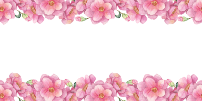 Pink flowers arranged in a continuous, seamless border cover the top and bottom edges of this watercolor clipart. Camellia japonica for wrapping paper, scrapbook projects, or web design elements png